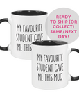 My Favourite Student Gave Me This Mug