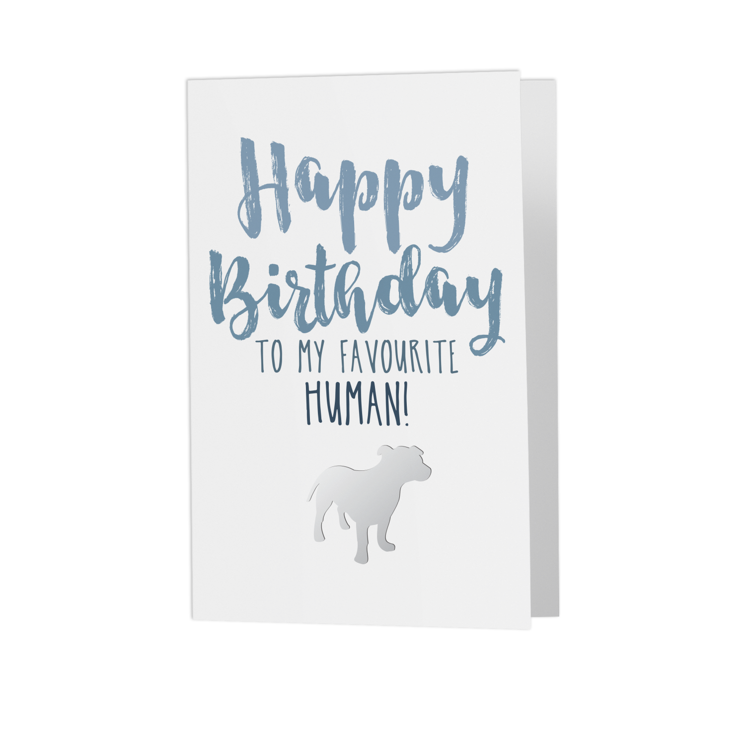 Happy Birthday Human Greeting Card
