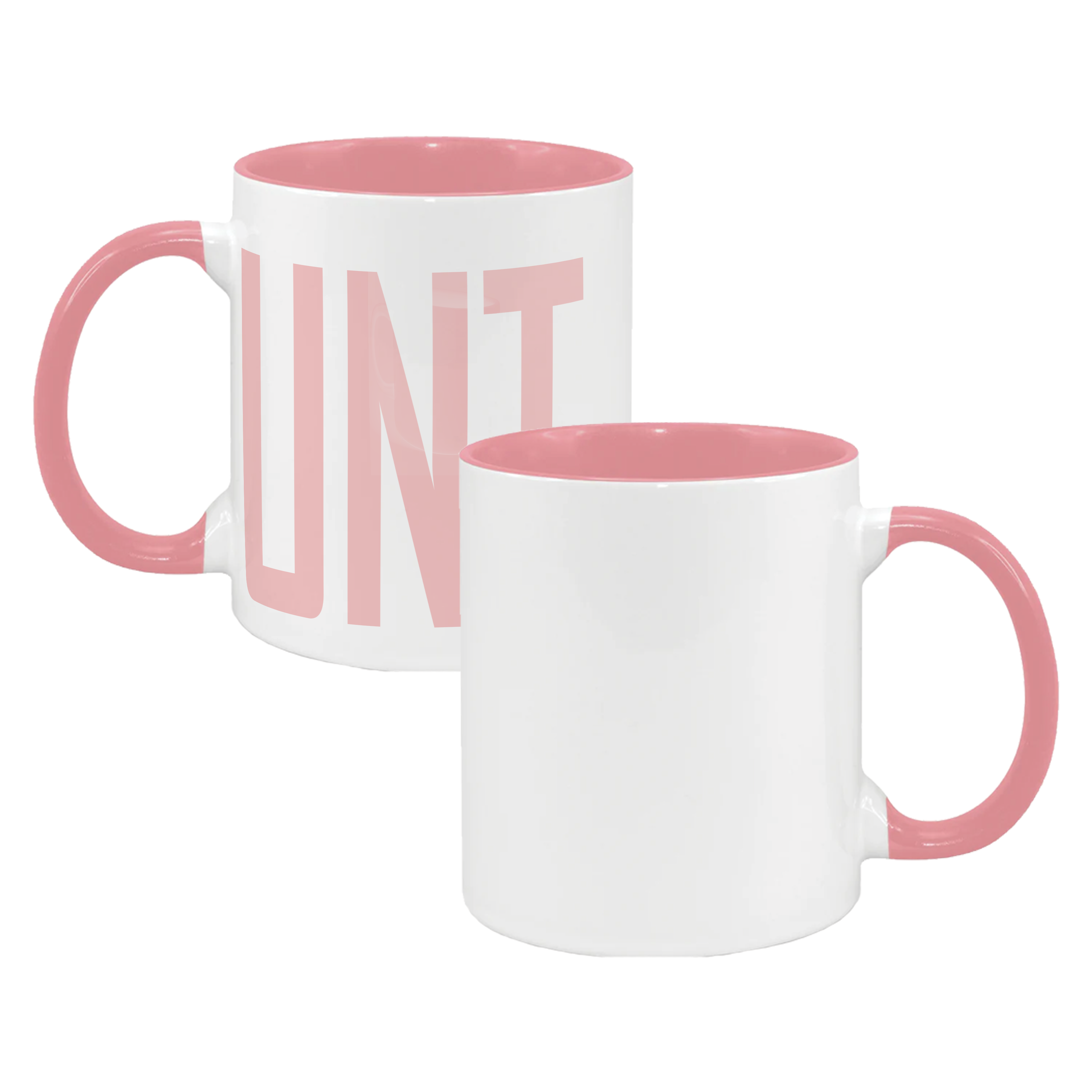 Funny UNT Mug | Funny Mug
