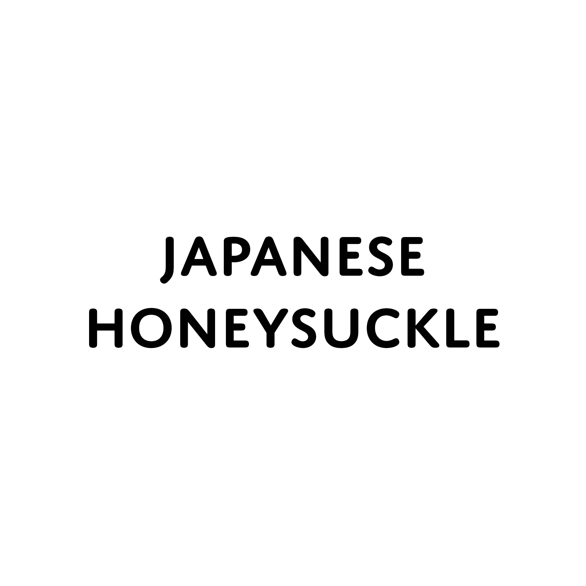 Japanese Honeysuckle